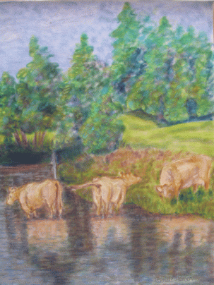 Kuene-frav-Stromsfoss.web